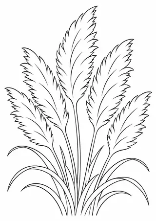 Autumn Pampas Grass Plumes