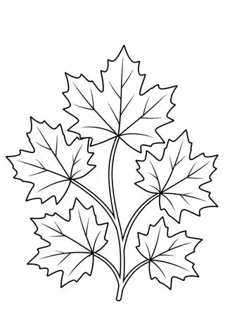 Autumn Maple Leaves