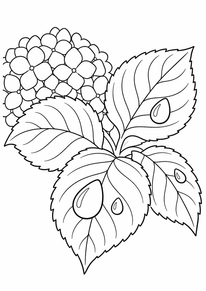 Hydrangea Leaves with Raindrops line art