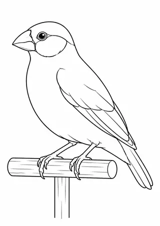 文鳥と止まり木