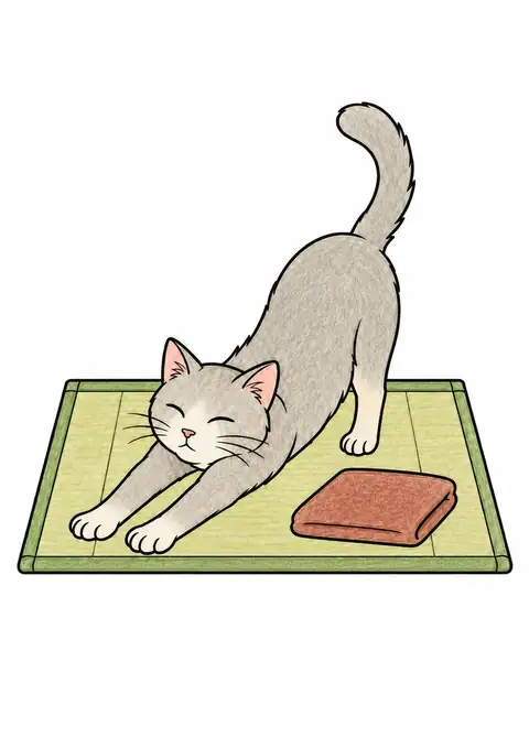 畳で伸びをする猫 色見本