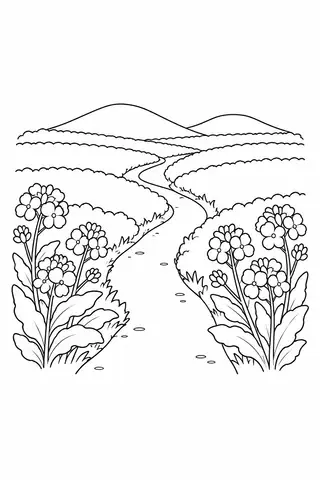 菜の花畑の小道