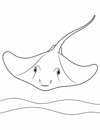 砂地のエイ