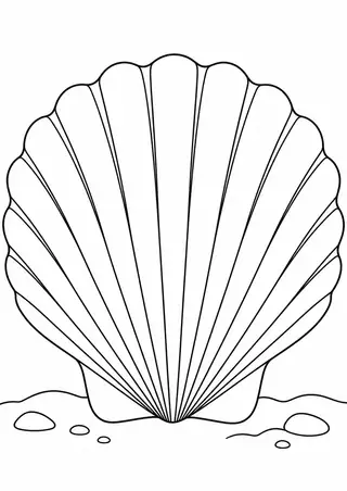 砂地のホタテ貝