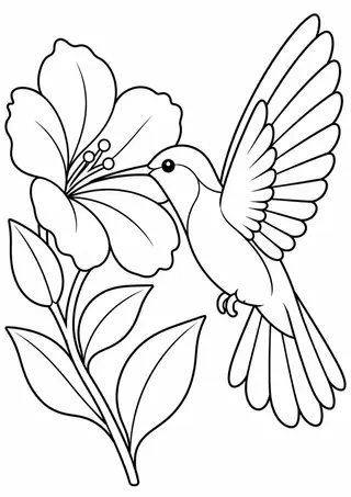 花のそばのハチドリ