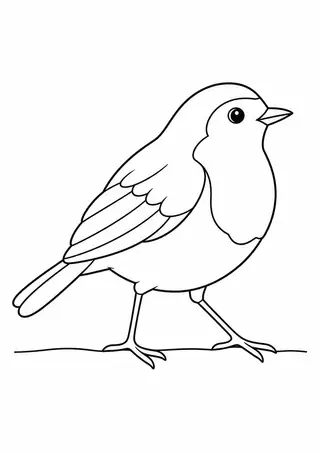 地面を歩くコマドリ