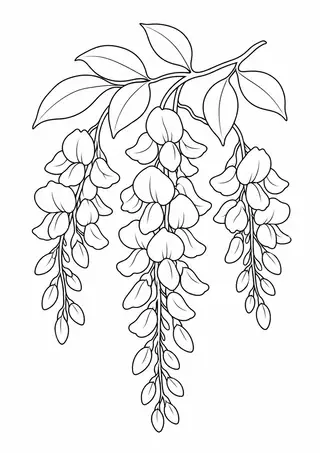 藤の花房と葉