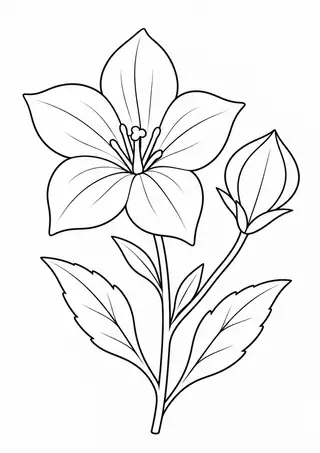 桔梗の花と蕾