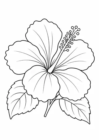 ハイビスカスの花