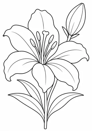 ユリの花と蕾
