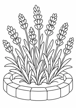丸い花壇のラベンダー