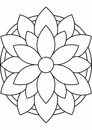 放射状の花弁