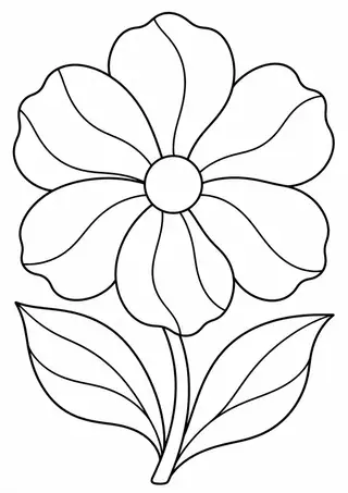 曲線で分けた花形