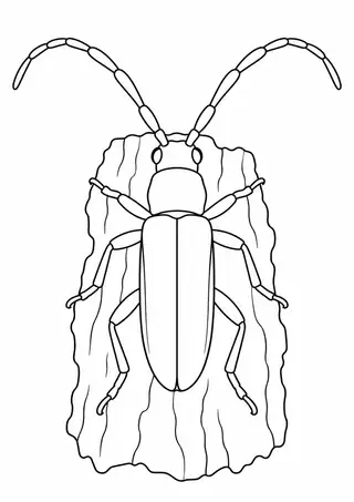 樹皮の上のカミキリムシ