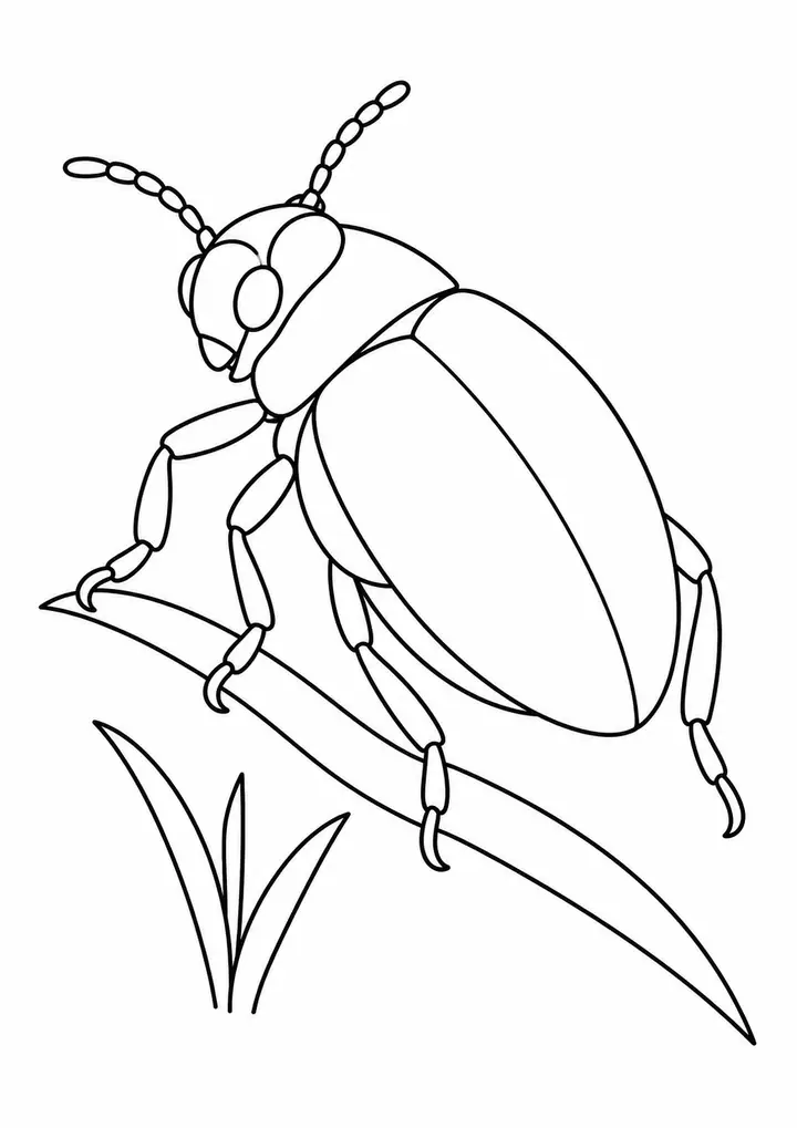 草の上のタマムシ 線画