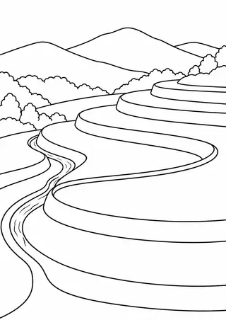 曲がる棚田