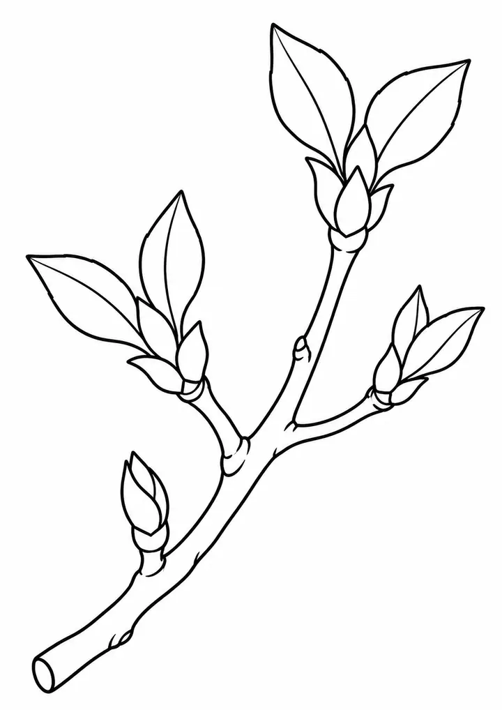 線画