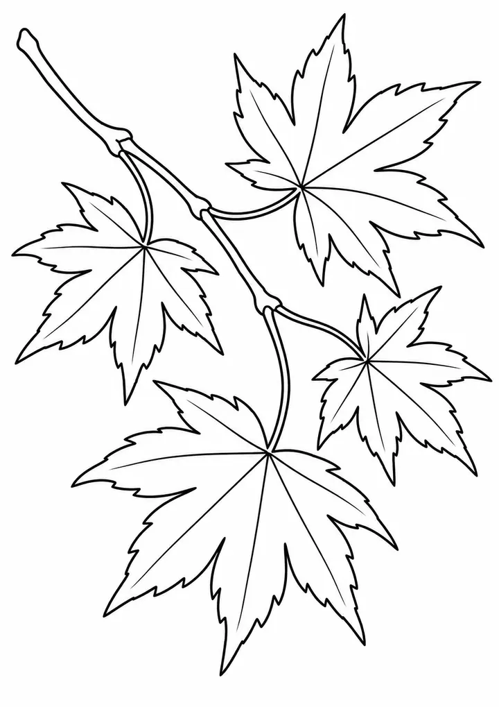 線画