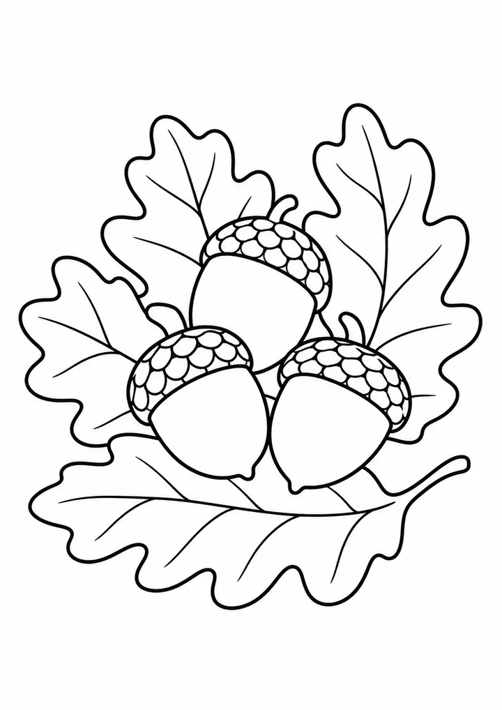 線画