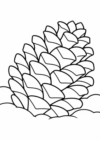 雪の上の松ぼっくり