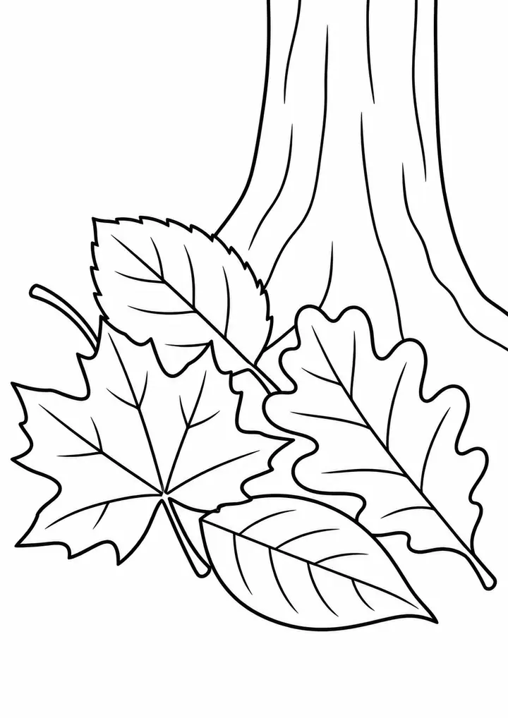 線画