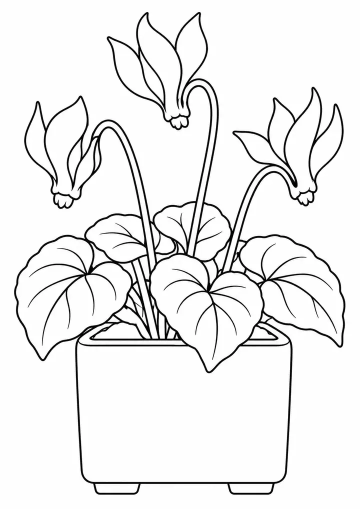 線画