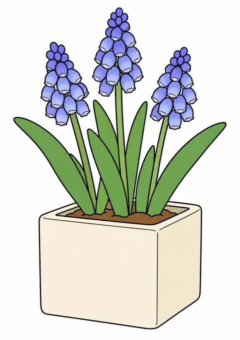 ムスカリと角い陶器の鉢 色見本
