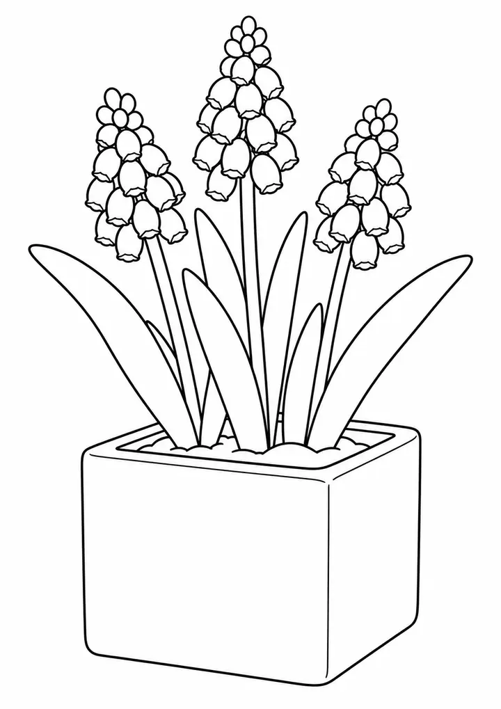 線画