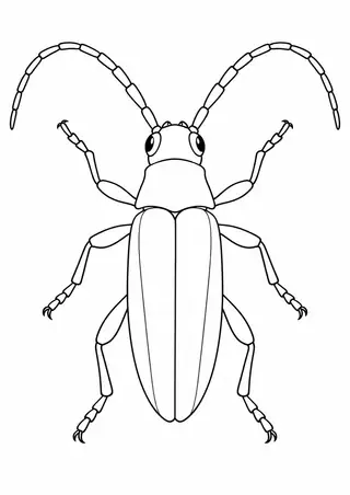 大きな触角のカミキリムシ