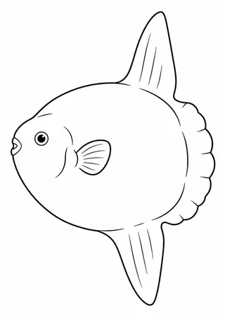 大きなひれのマンボウ
