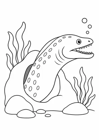 岩かげのウツボ