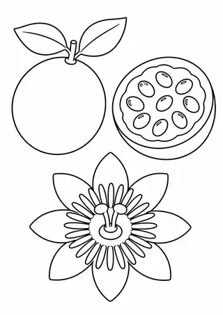 Maracujá aberto e uma flor
